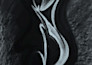 create exclusive abstract art and illustrations